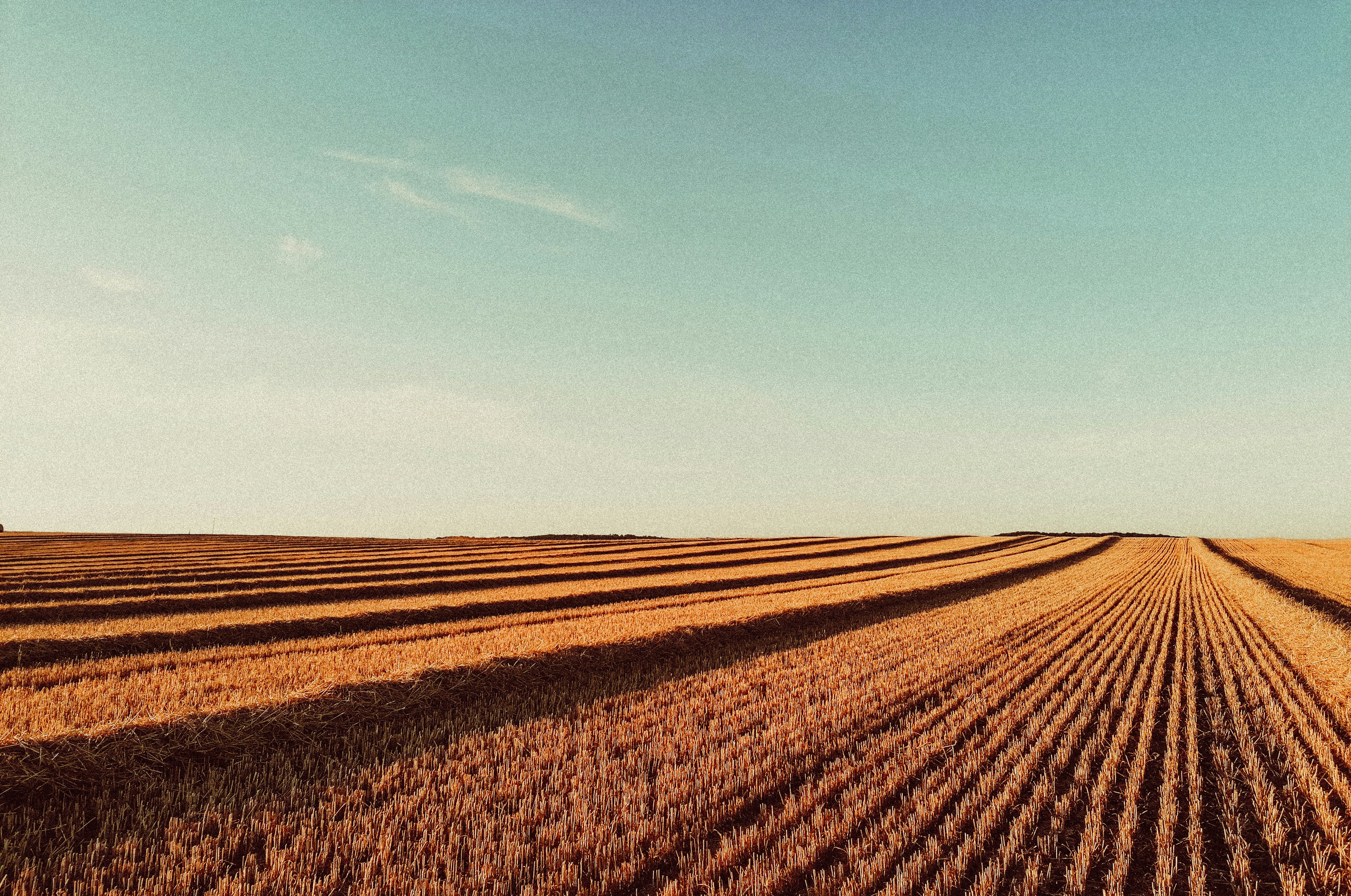 Photo by sindy_suessengut