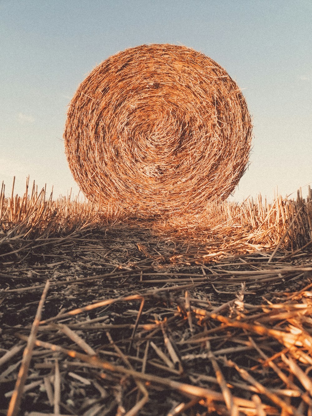 brown grass field under blue sky during daytime