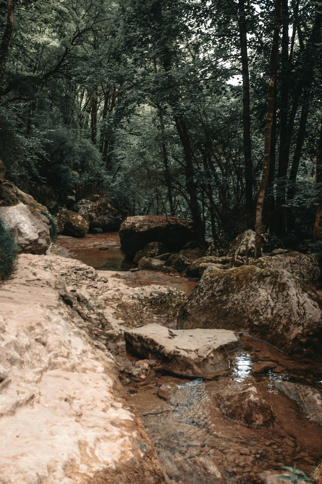 brown rocks on river during daytime