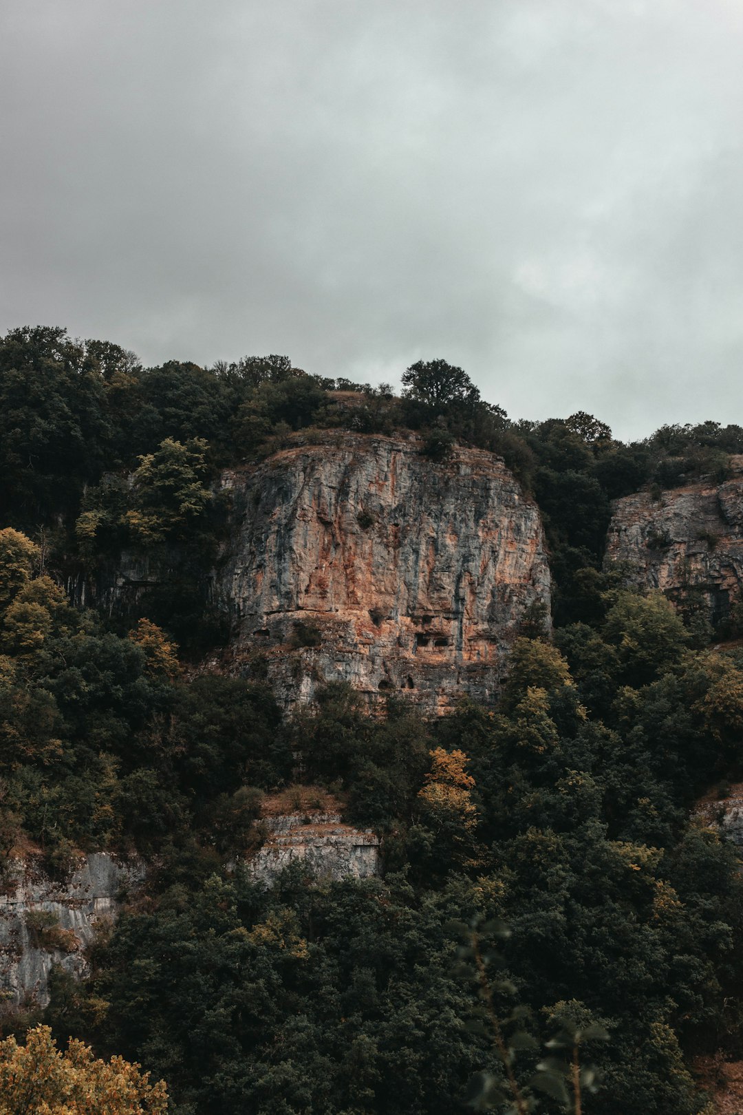 green trees on brown mountain under white clouds during daytime