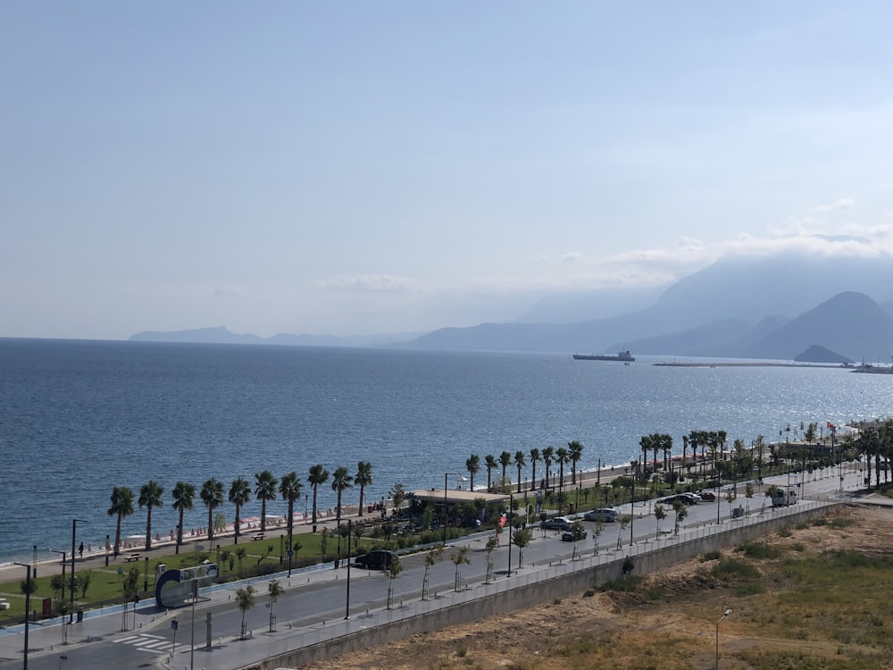 people walking on sidewalk near body of water during daytime