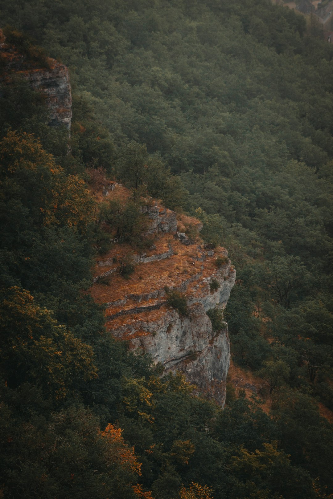 green trees on rocky mountain during daytime