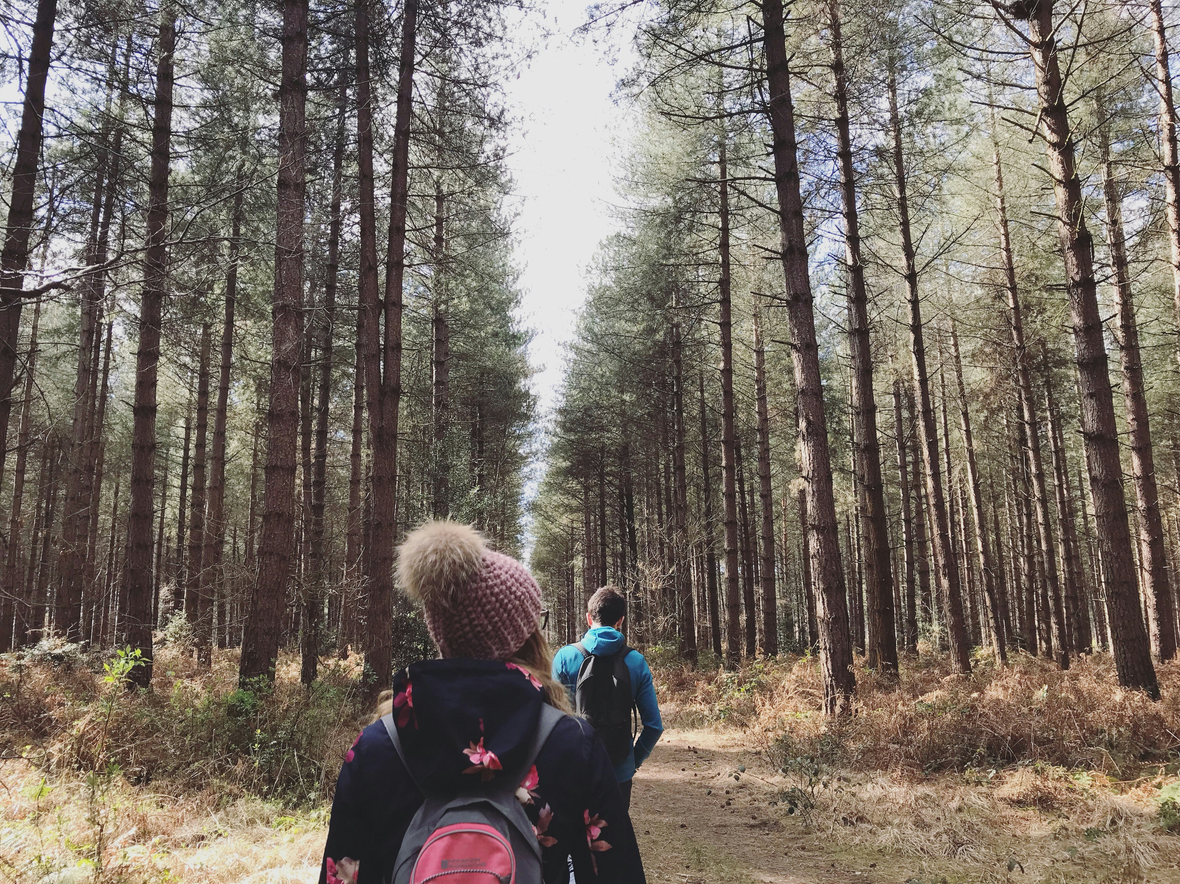 man in black jacket carrying black backpack in forest during daytime