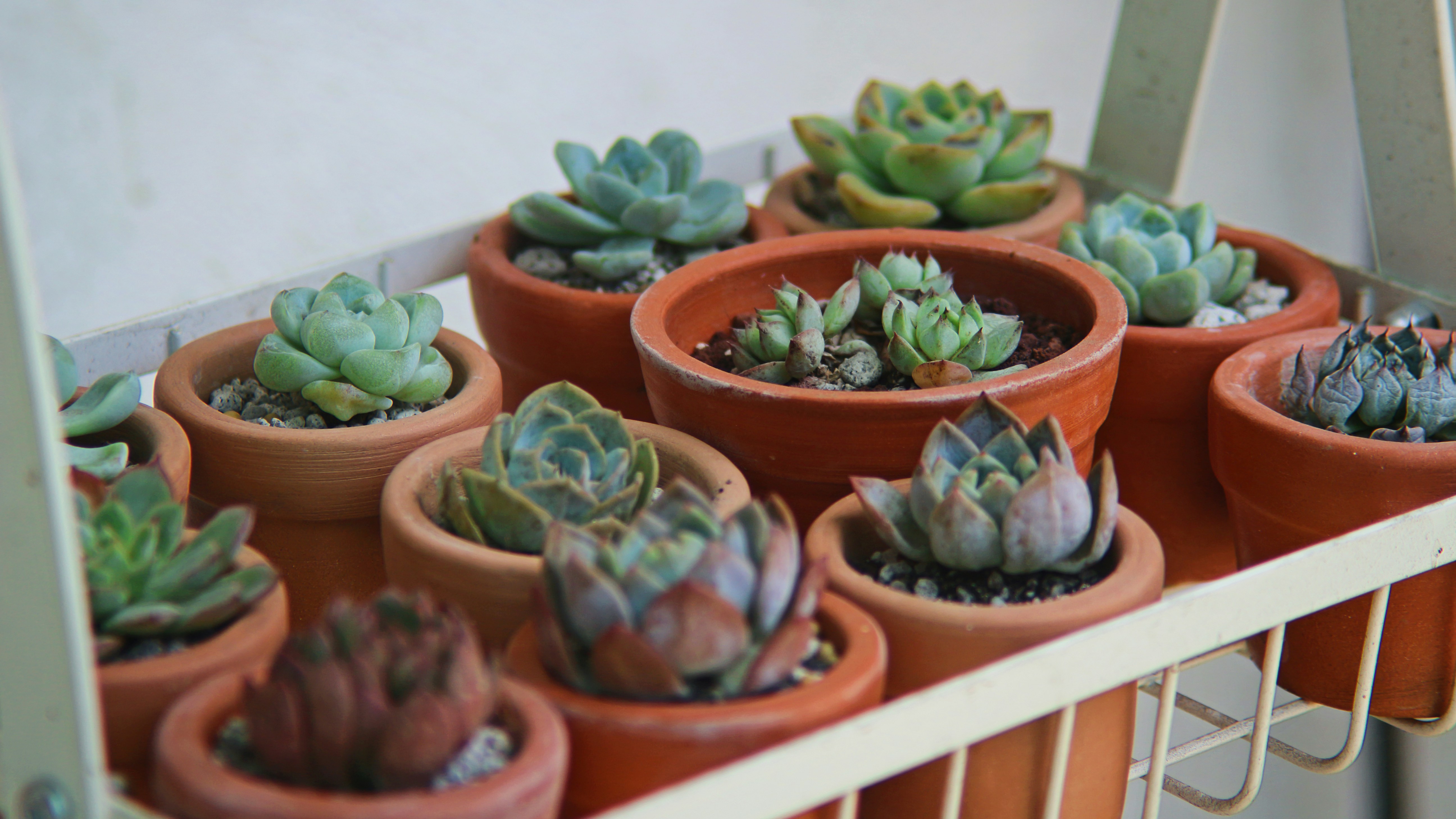 Photo by mayugachristine