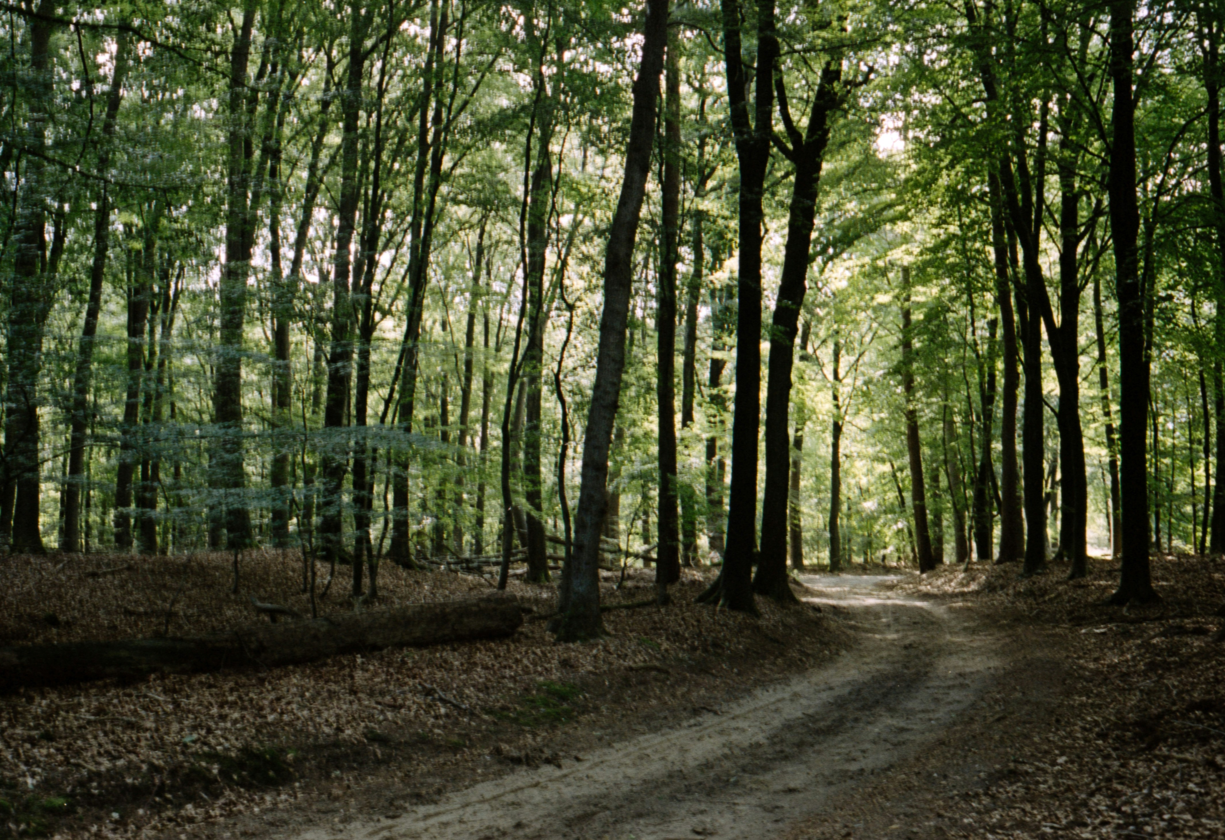 Photo by jeancarloemer