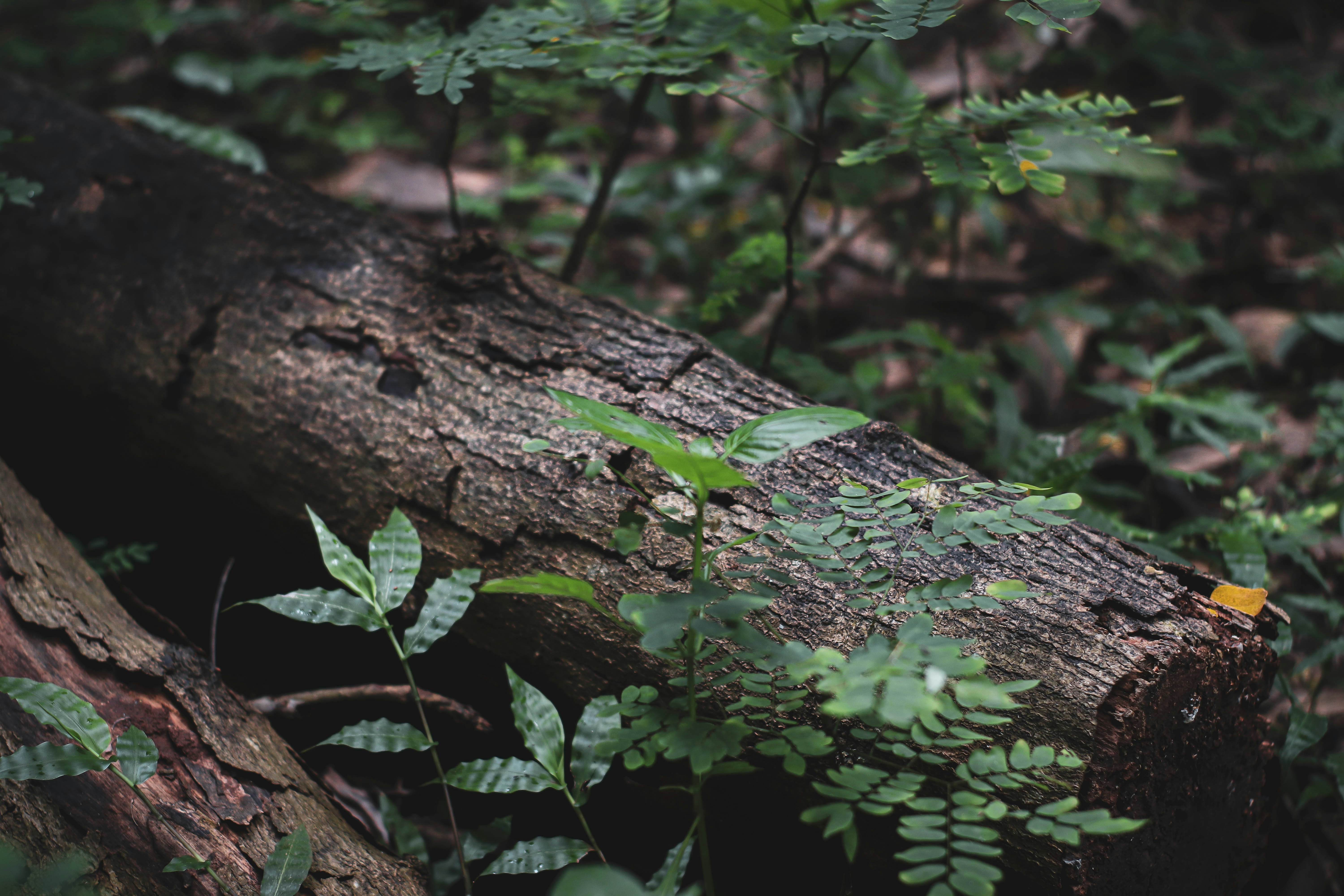 Photo by agusprasetyow