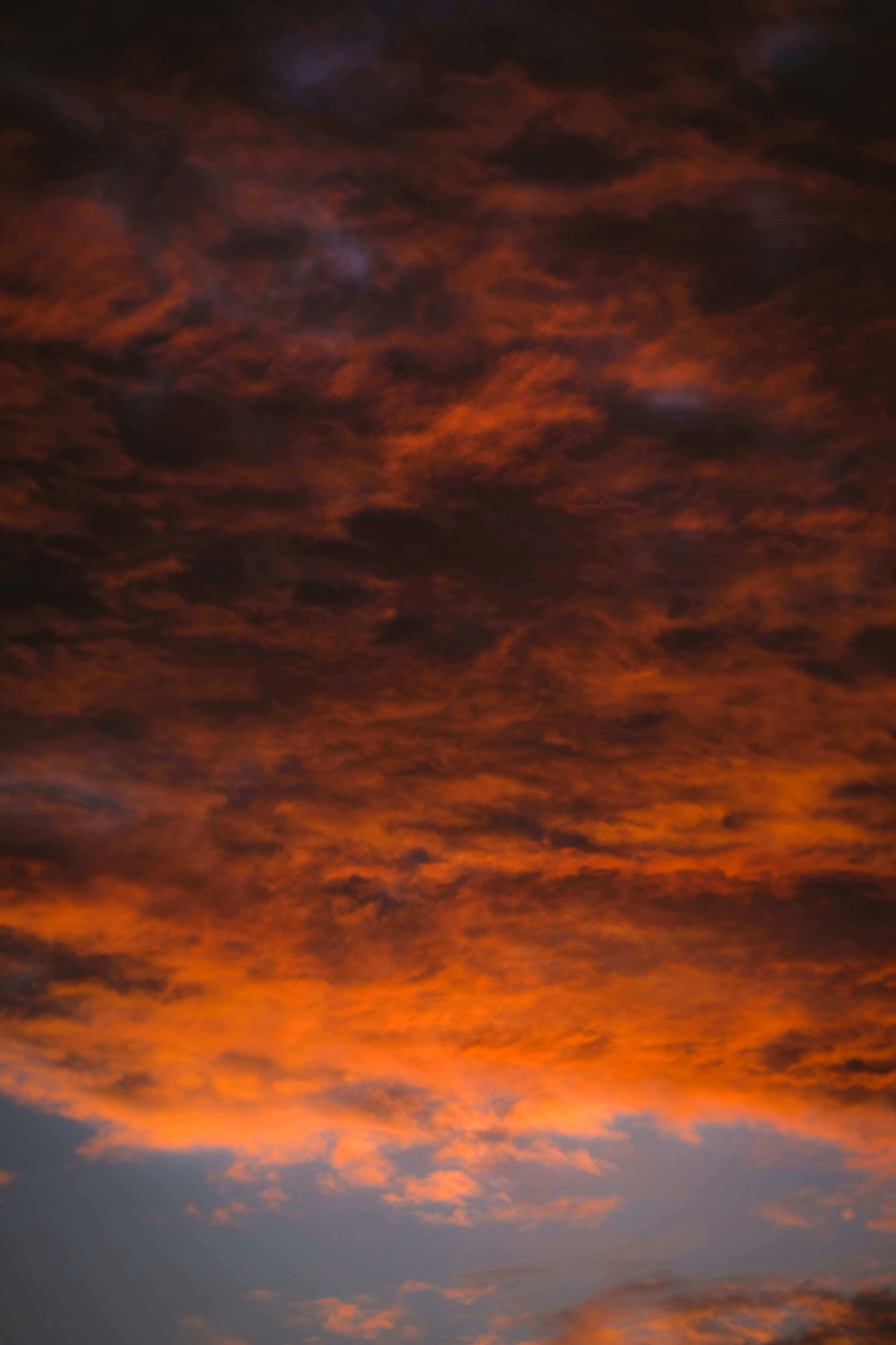 Photo by francesco_ungaro