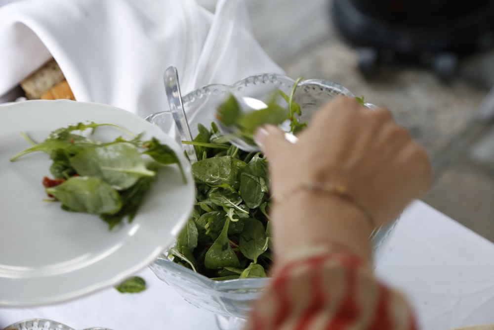 person holding green leaves on white ceramic plate