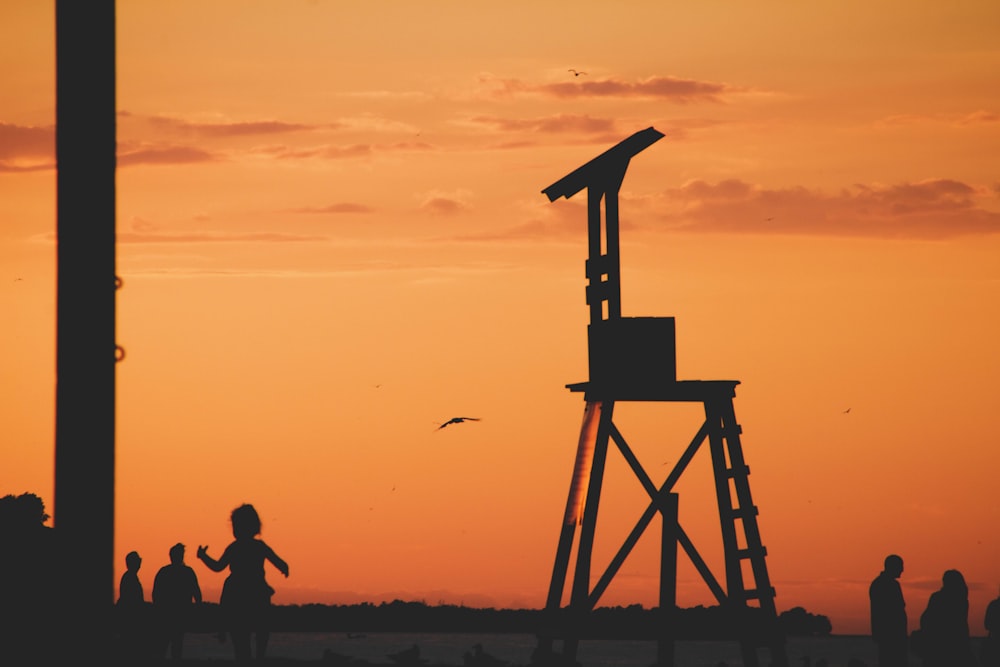 silhouette of people near birds flying during sunset