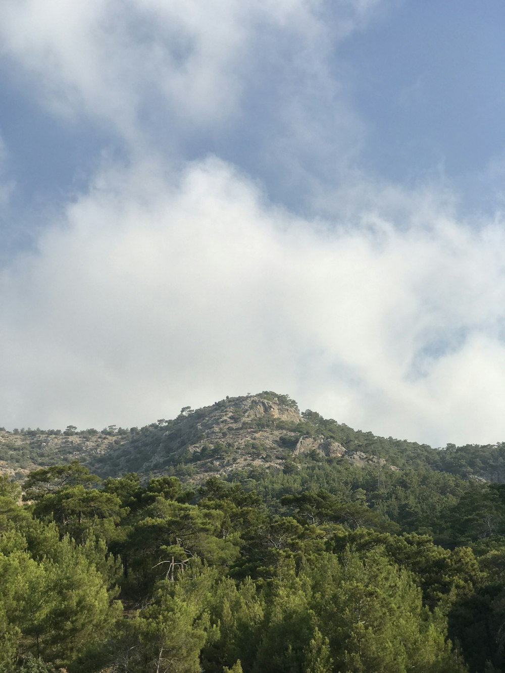 green trees on mountain under white clouds during daytime