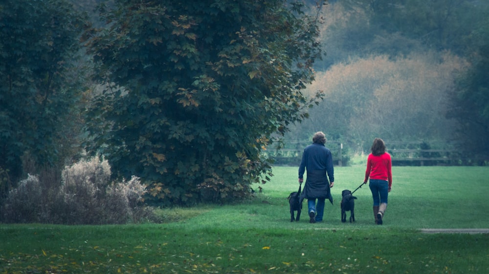 man and woman walking on green grass field near green trees during daytime