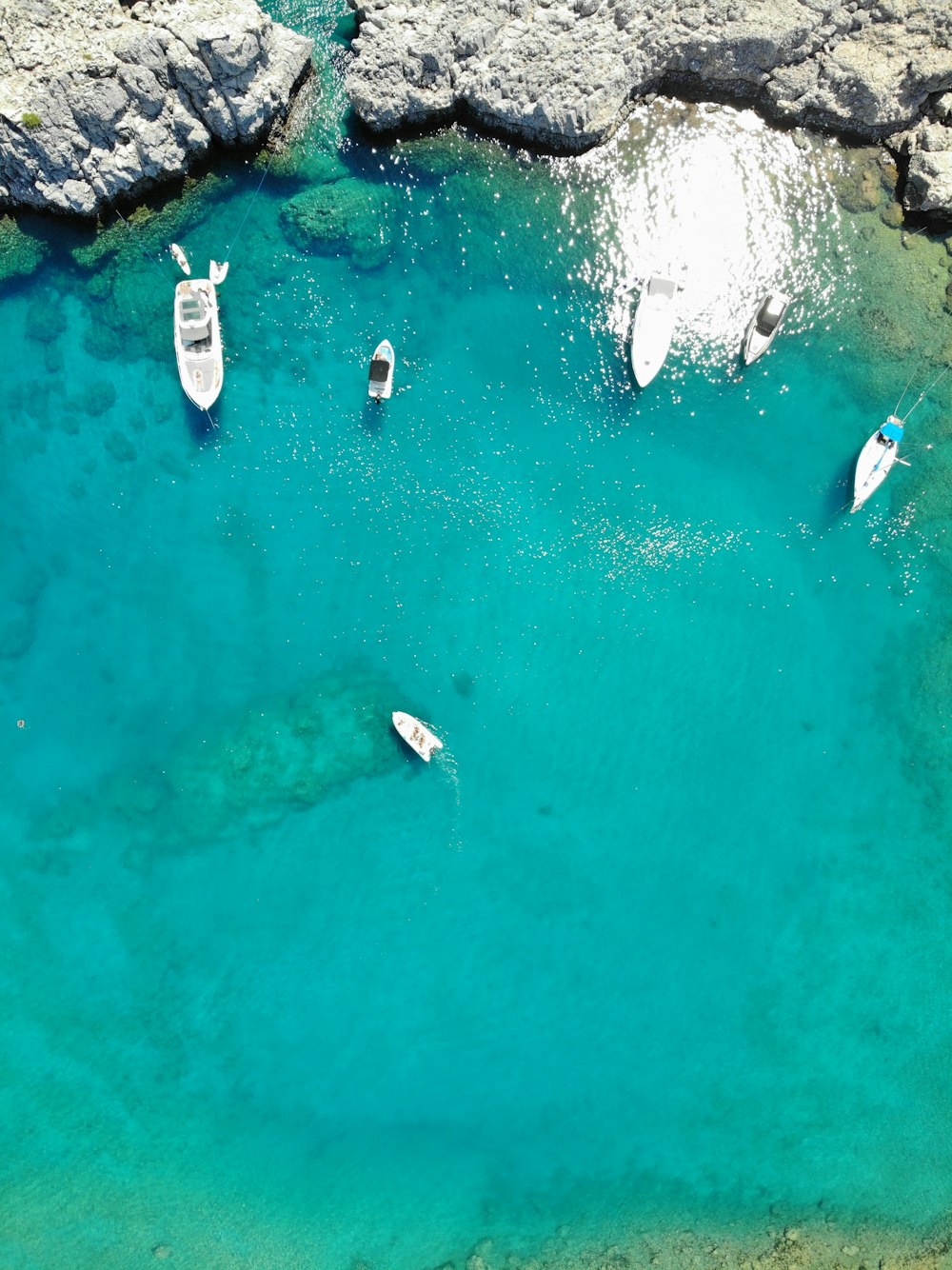 aerial view of people swimming on sea during daytime