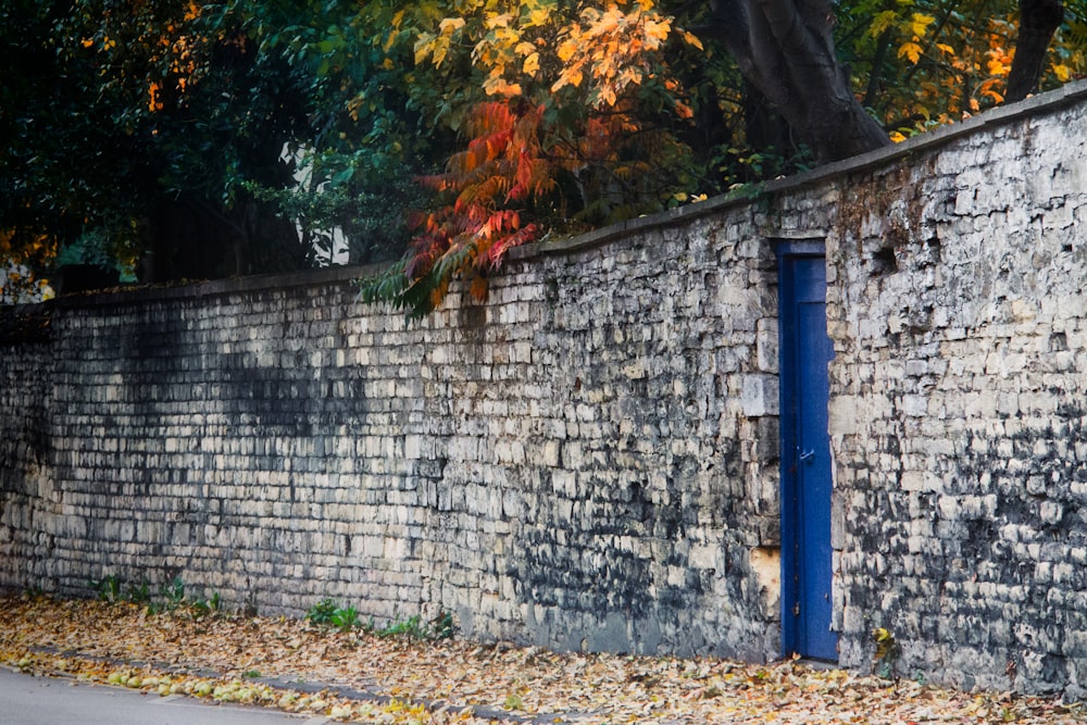 blue wooden door on gray concrete wall