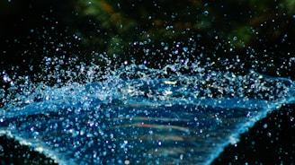 A dynamic scene from a commercial shoot.