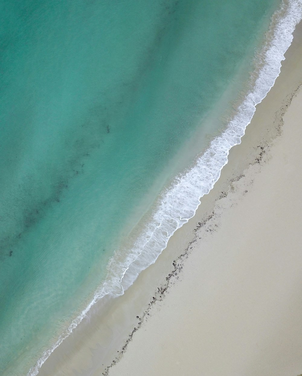 aerial view of beach during daytime