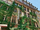 A multi-story building adorned with lush green ivy covering most of the facade. The architecture features multiple windows with decorative frames, and a vertical sign prominently displays the word 'HOTEL'. The building has a classic, European style with several dormer windows on the rooftop.