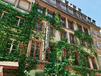 A multi-story building adorned with lush green ivy covering most of the facade. The architecture features multiple windows with decorative frames, and a vertical sign prominently displays the word 'HOTEL'. The building has a classic, European style with several dormer windows on the rooftop.