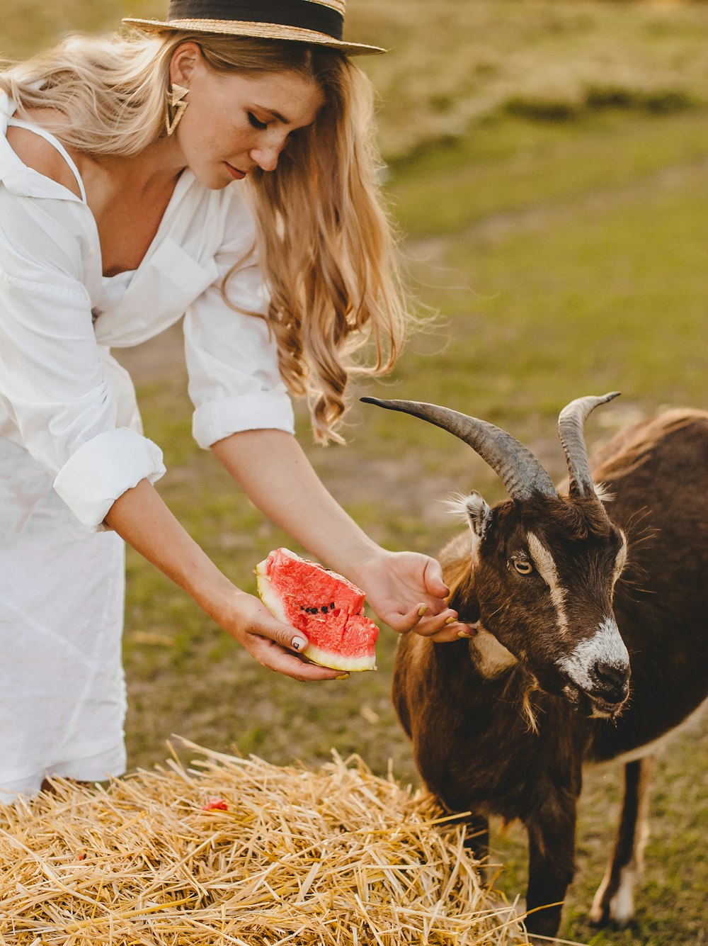 woman in white shirt feeding black and white goat