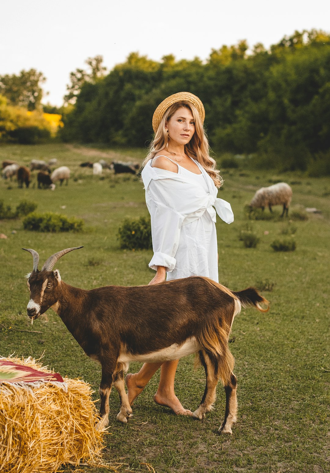 woman in white dress standing beside brown and white cow during daytime