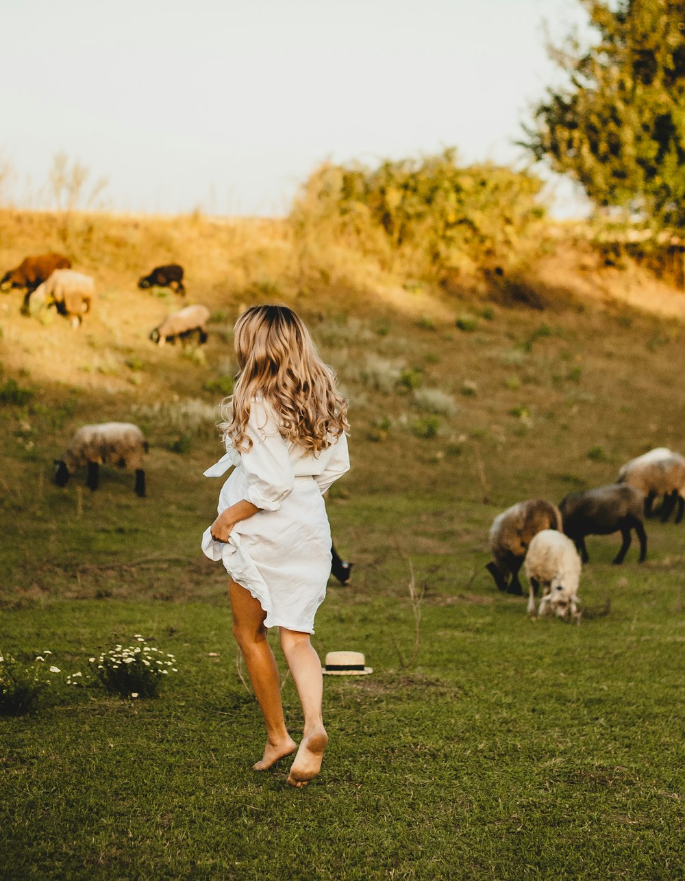 girl in white dress standing on green grass field with white and brown sheep during daytime