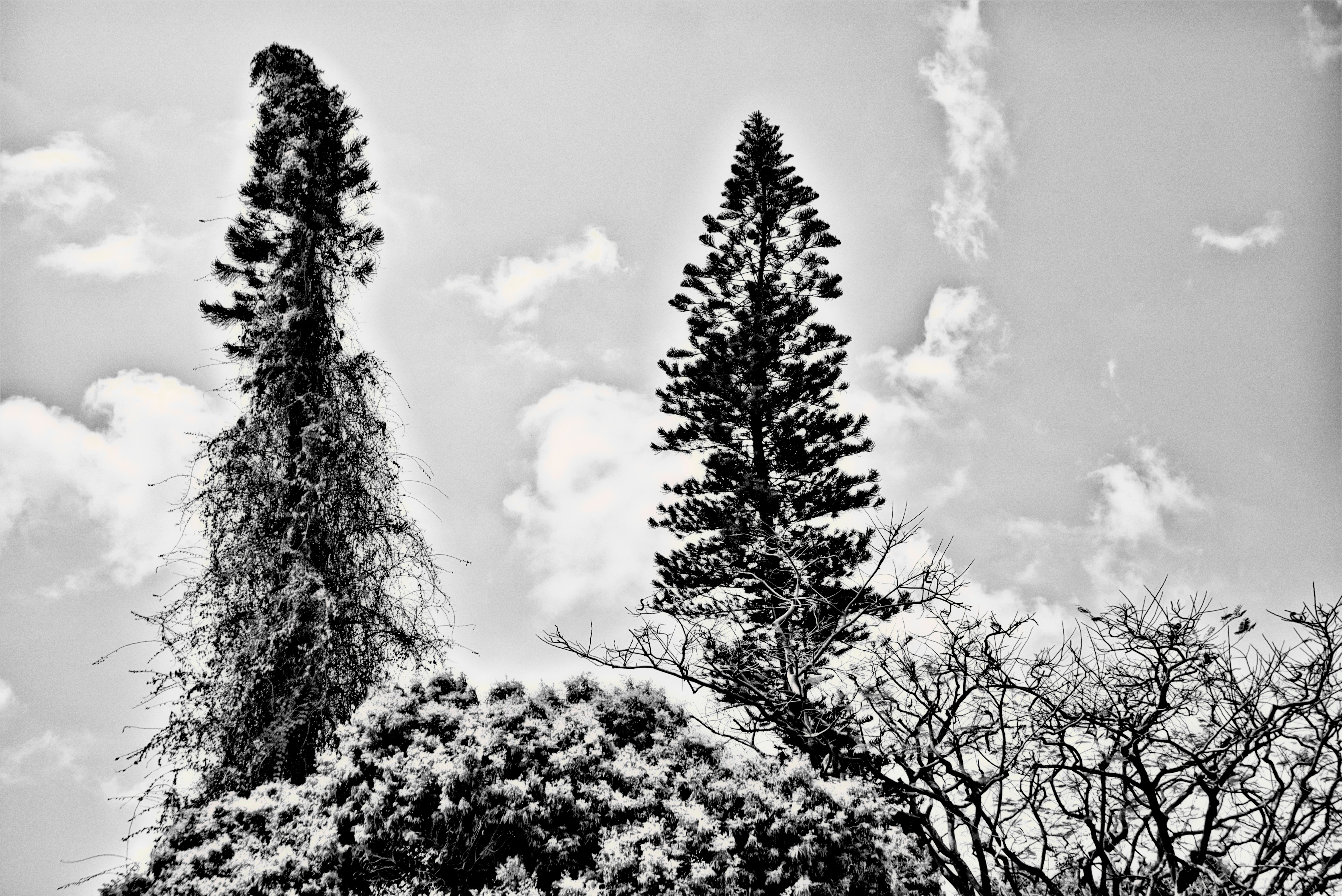 Photo by thomaskinto