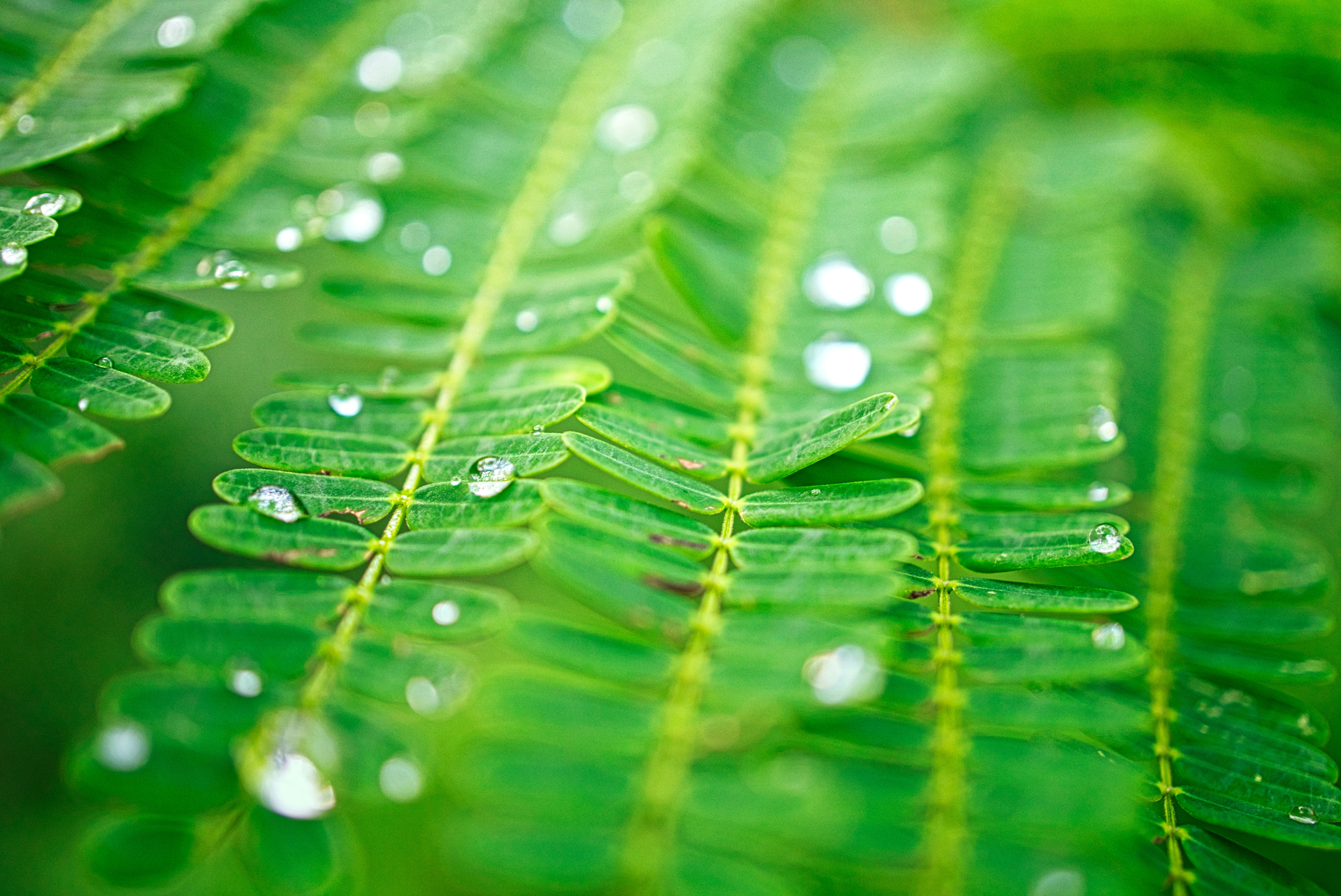 Photo by thomaskinto