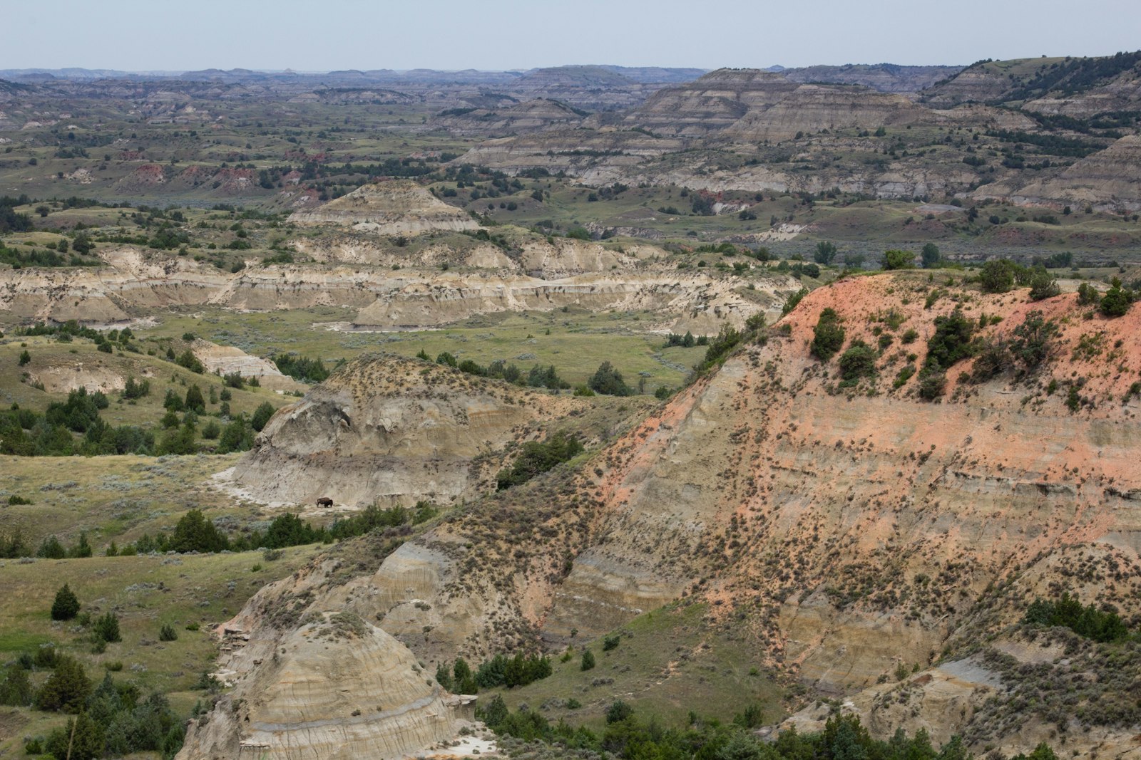 A wide badlands panorama of banded buttes and green valleys, with a red-striped scoria slope dotted with junipers in the foreground