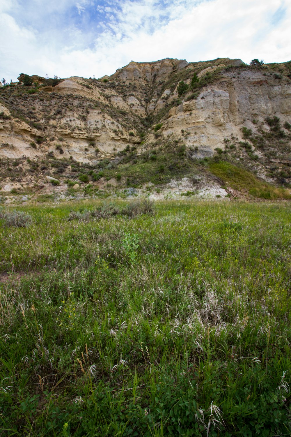 Campo de hierba verde cerca de Brown Mountain durante el día