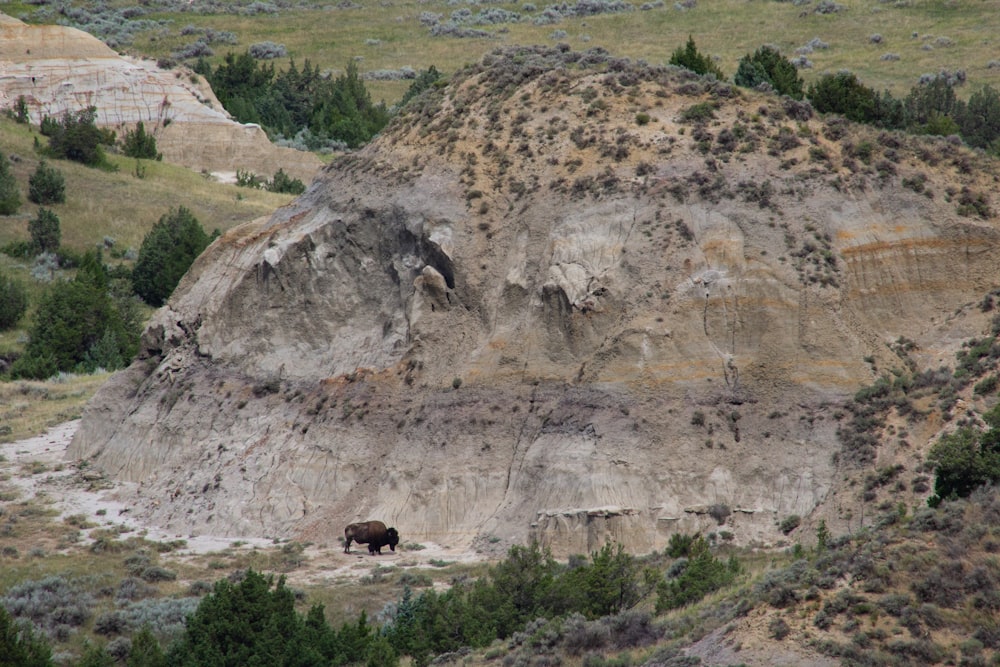 brown rock formation on green grass field during daytime