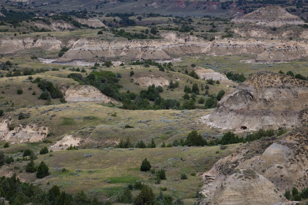 Campo de hierba verde y árboles durante el día