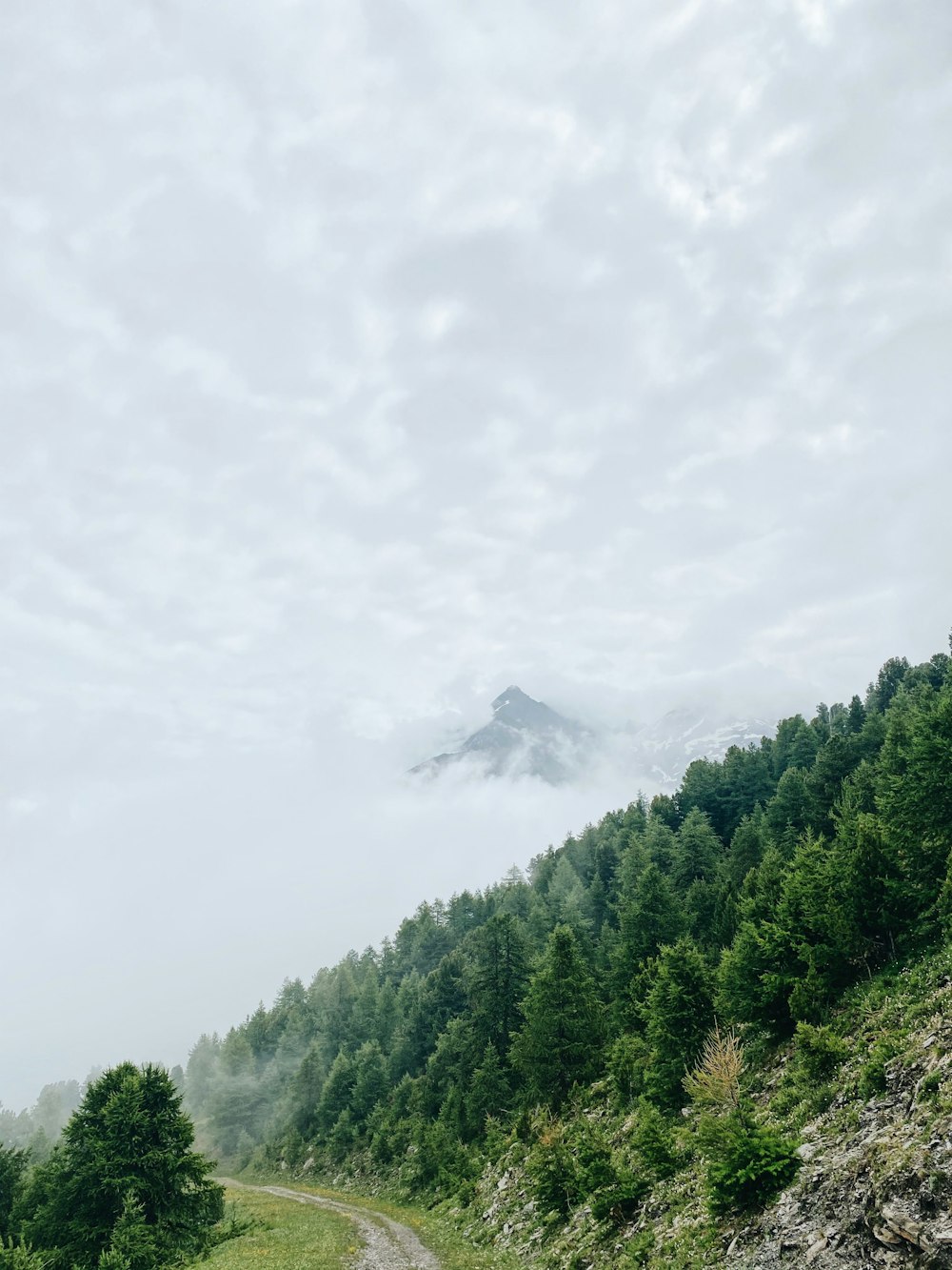 green trees and mountain under white clouds during daytime