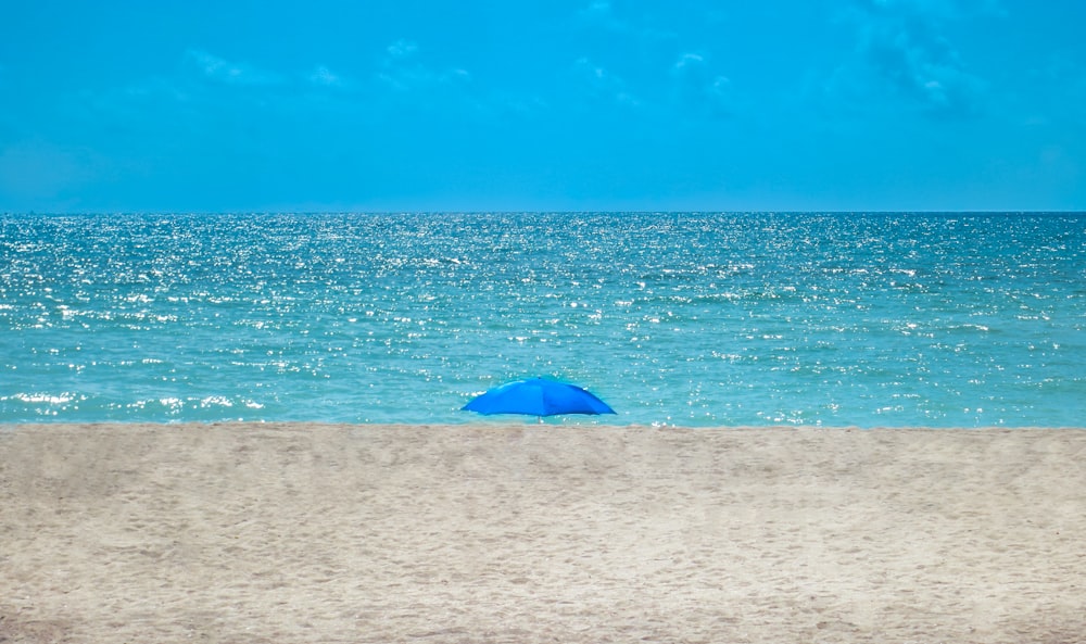 blue umbrella on beach during daytime