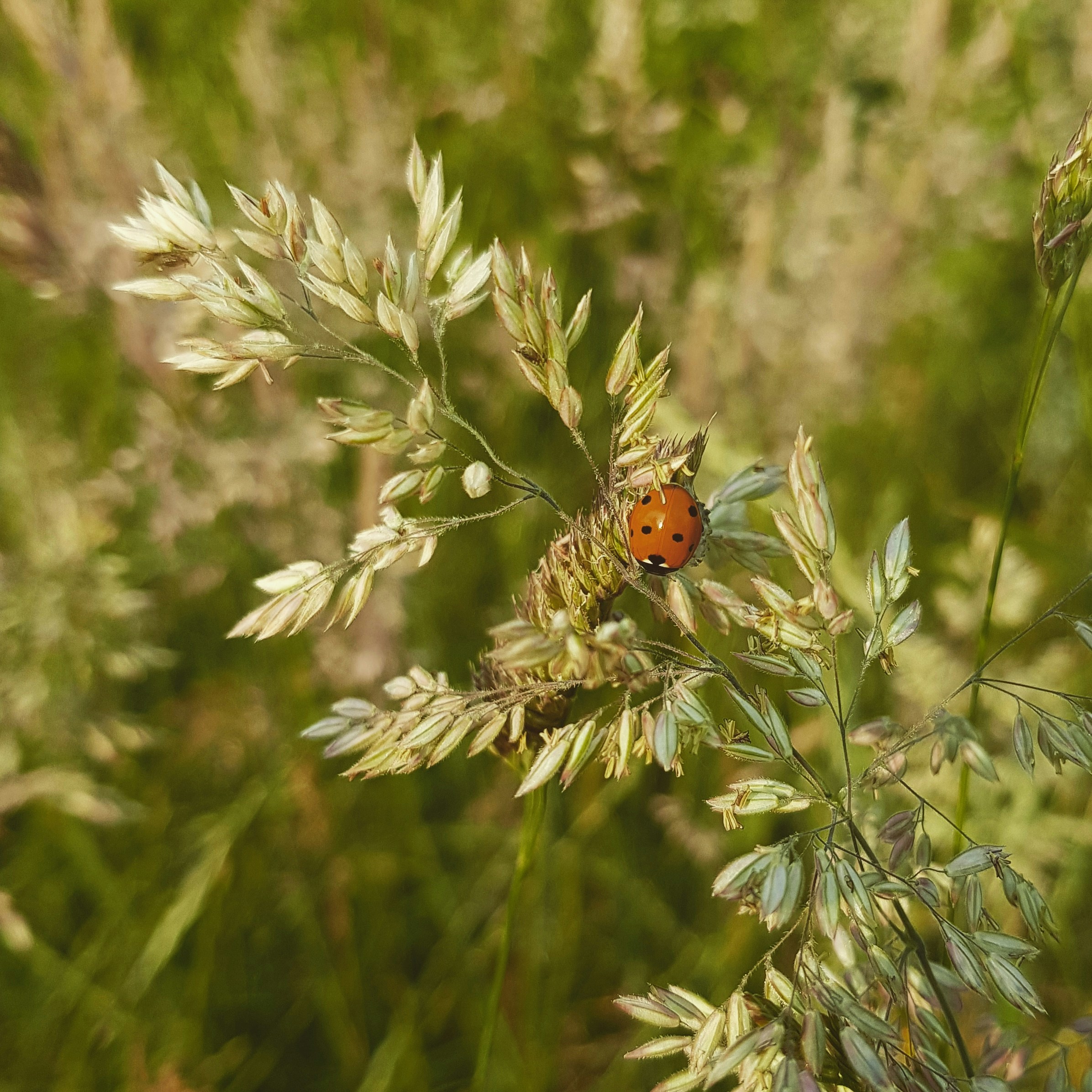 Photo by rachel_woods