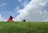 girl in pink shirt sitting on green grass field under white clouds and blue sky during