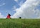 girl in pink shirt sitting on green grass field under white clouds and blue sky during