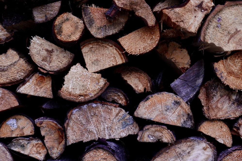 brown wood logs on brown soil