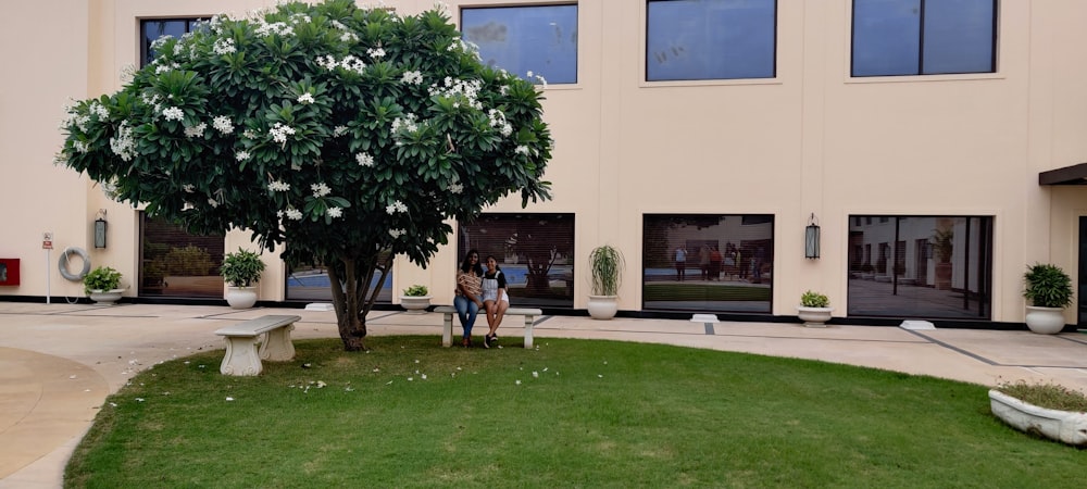 2 women standing on green grass field near white concrete building during daytime