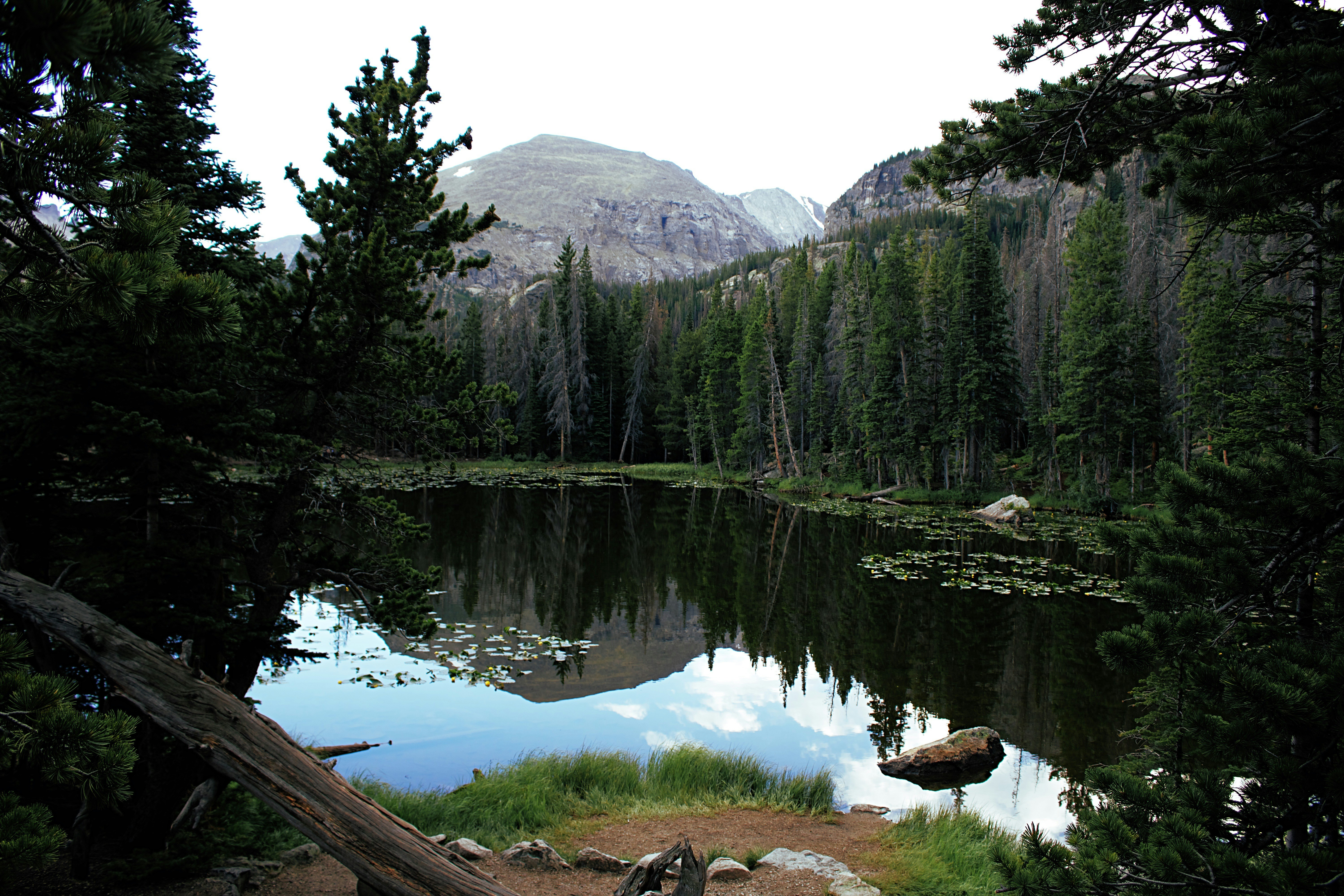 green trees near lake and mountain during daytime, 