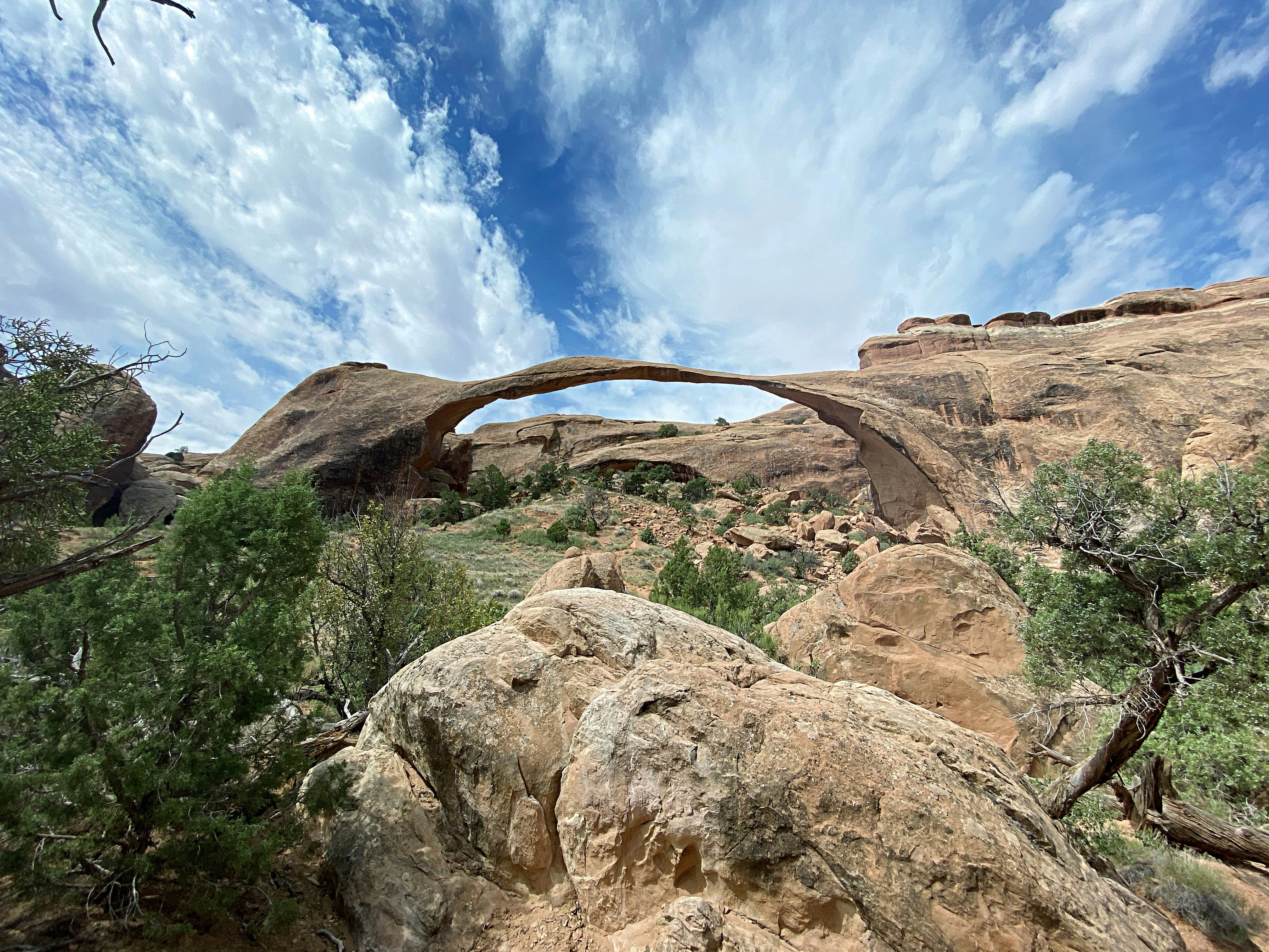 The Culture Code: What Actually Shapes Behavior