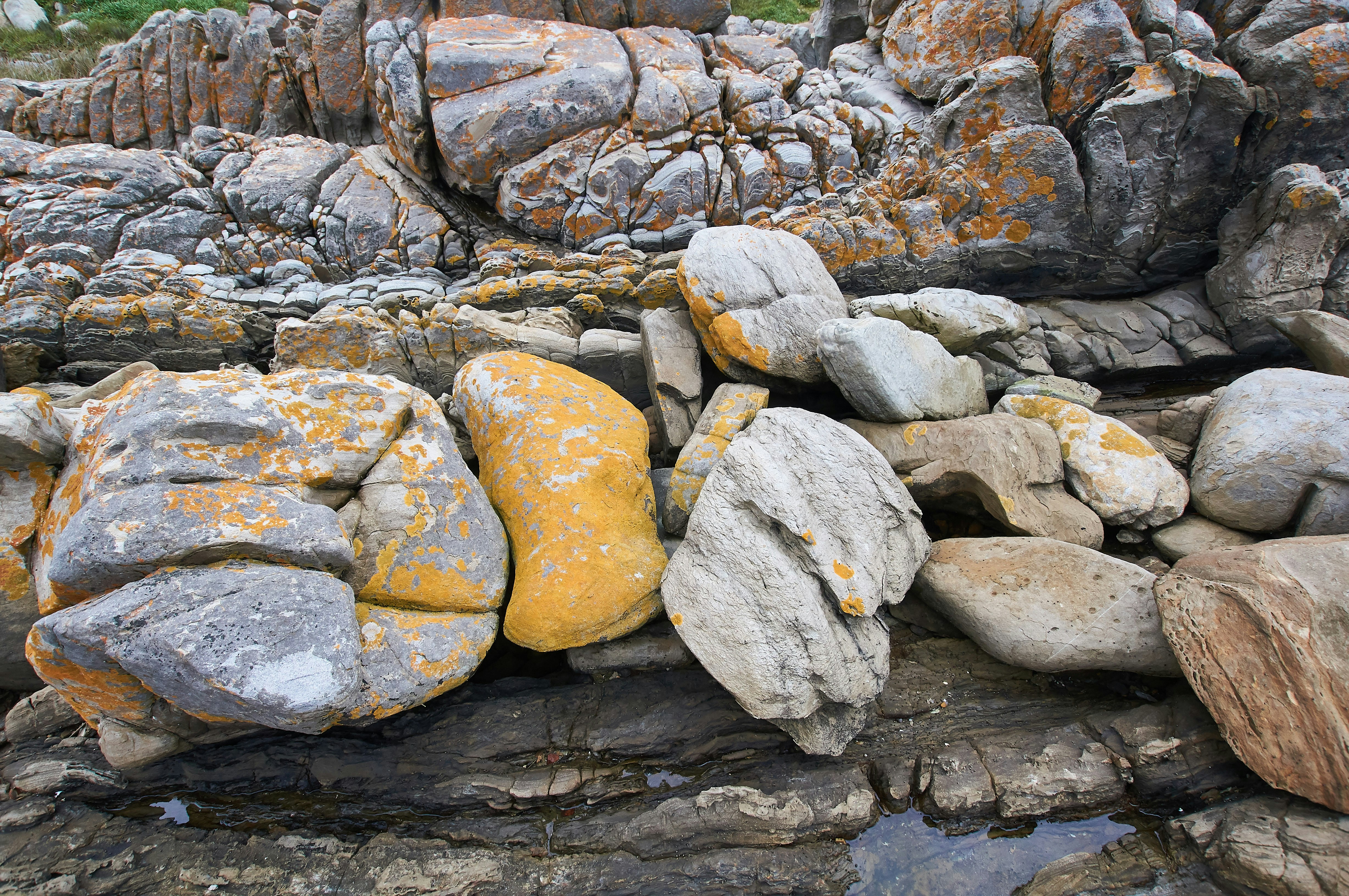 Photo by wolfgang_hasselmann