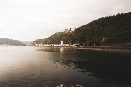 body of water near green mountain during daytime in Loreley Germany