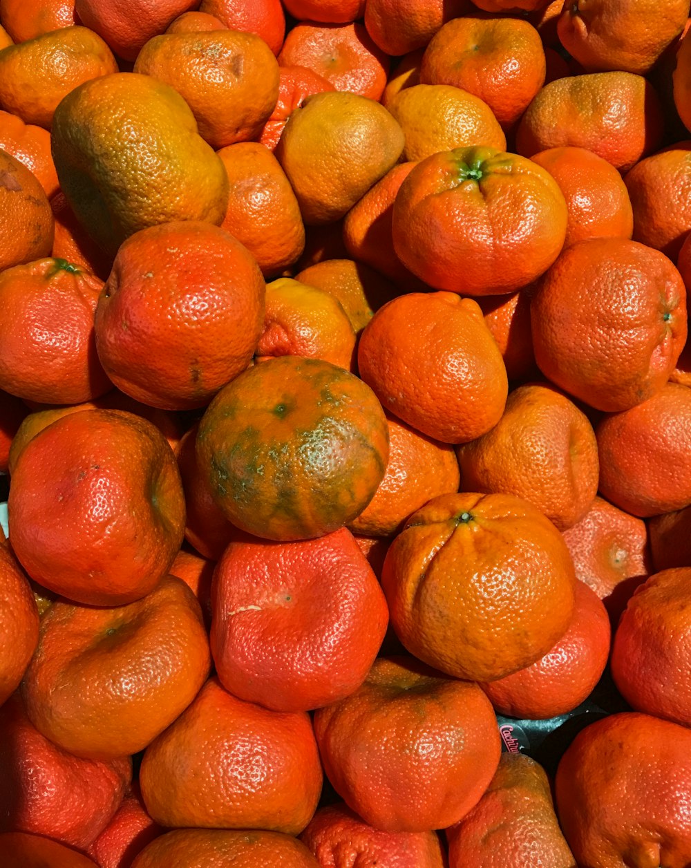 orange fruits on white ceramic plate