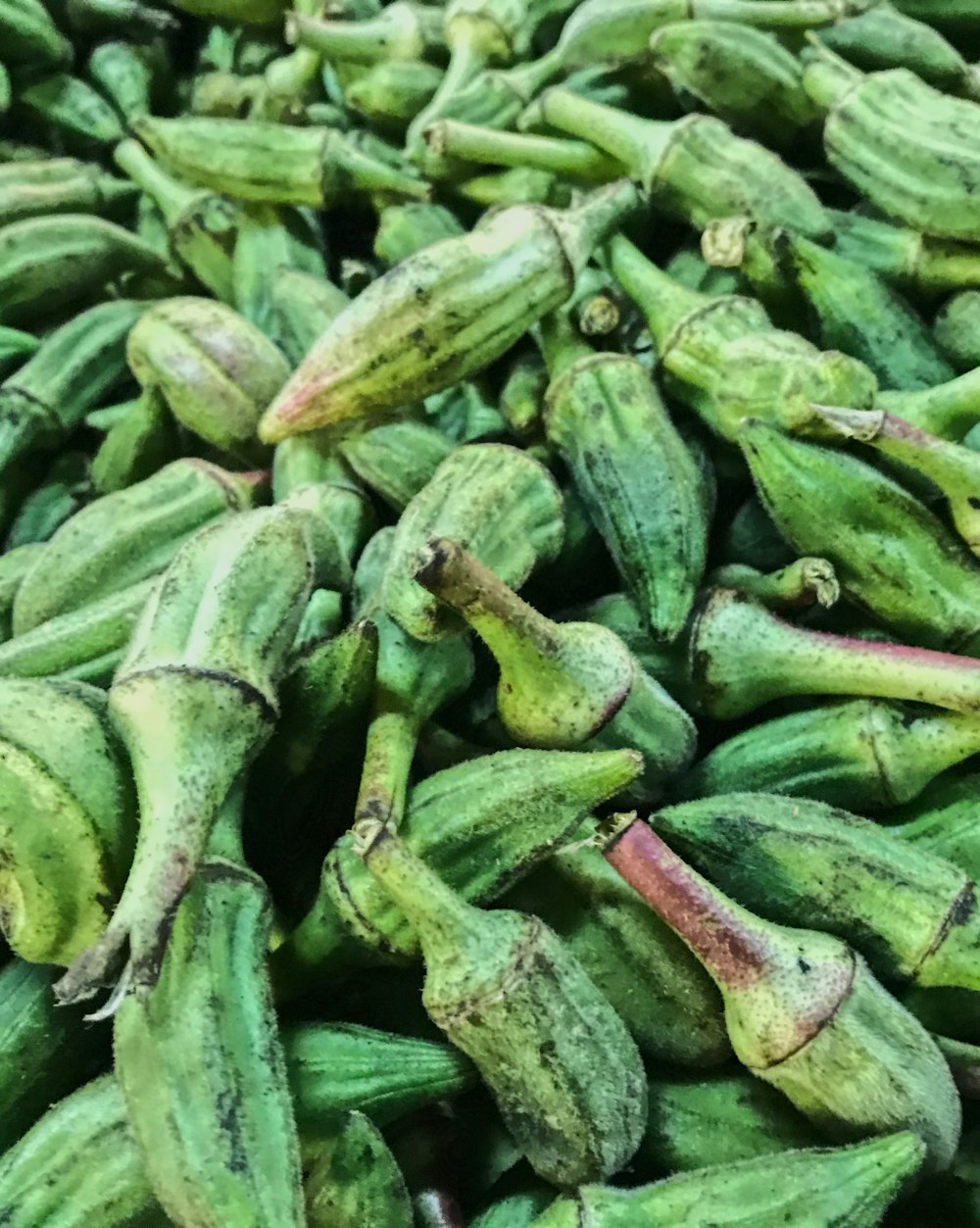 Piments verts et jaunes