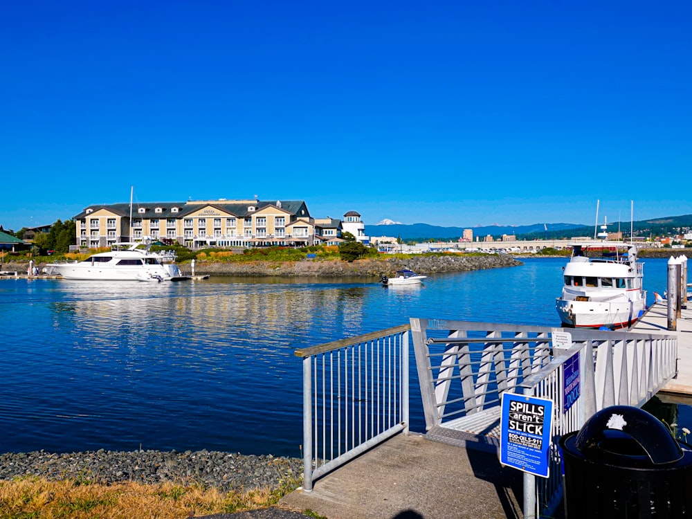 white and blue boat on water during daytime