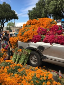 A truck is loaded with vibrant marigold and cockscomb flowers overflowing onto the street, with bundles of freshly cut flowers stacked around. A person is tending to the flowers, surrounded by lush green trees under a blue sky with scattered clouds.