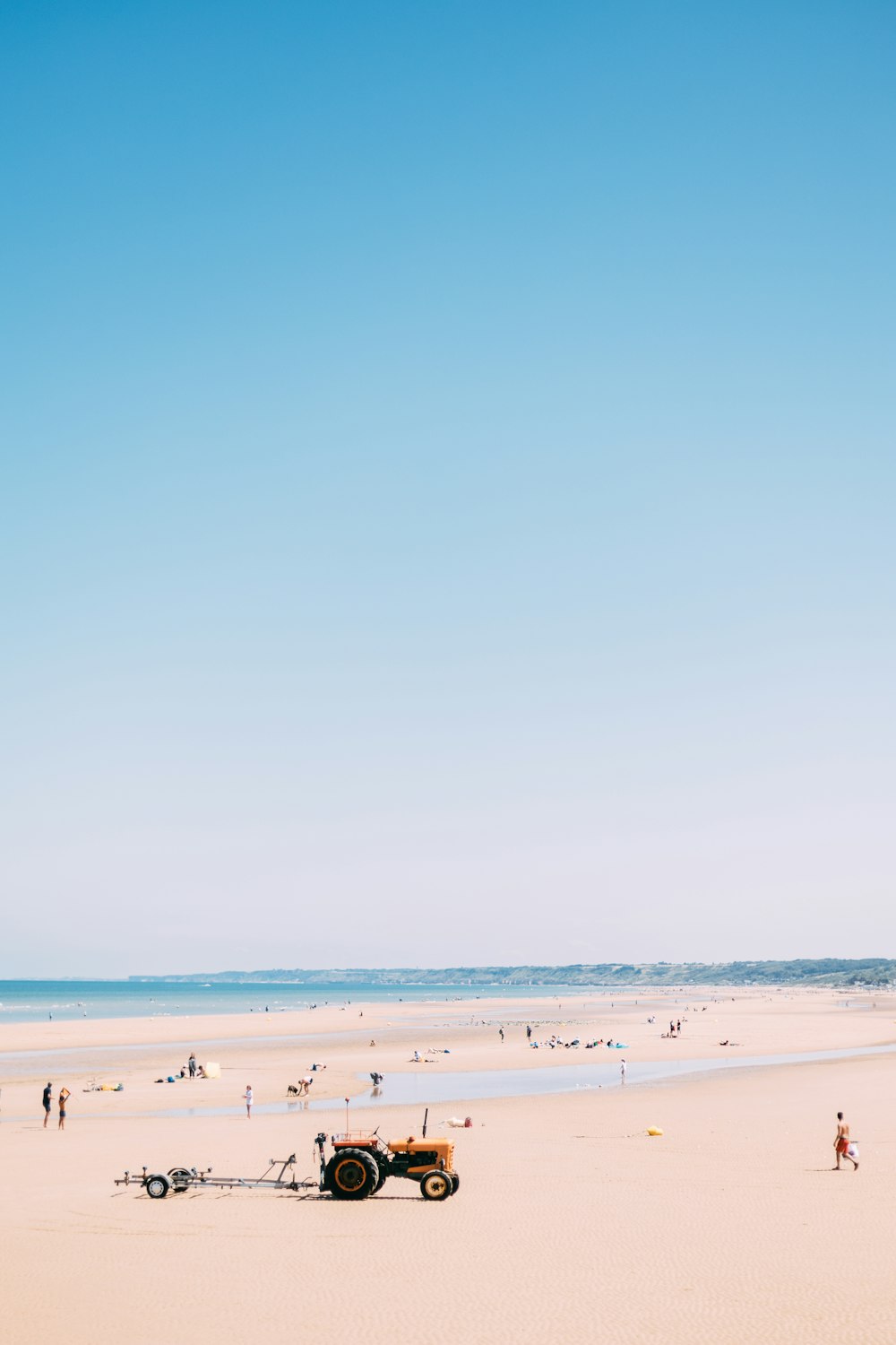 people on beach during daytime