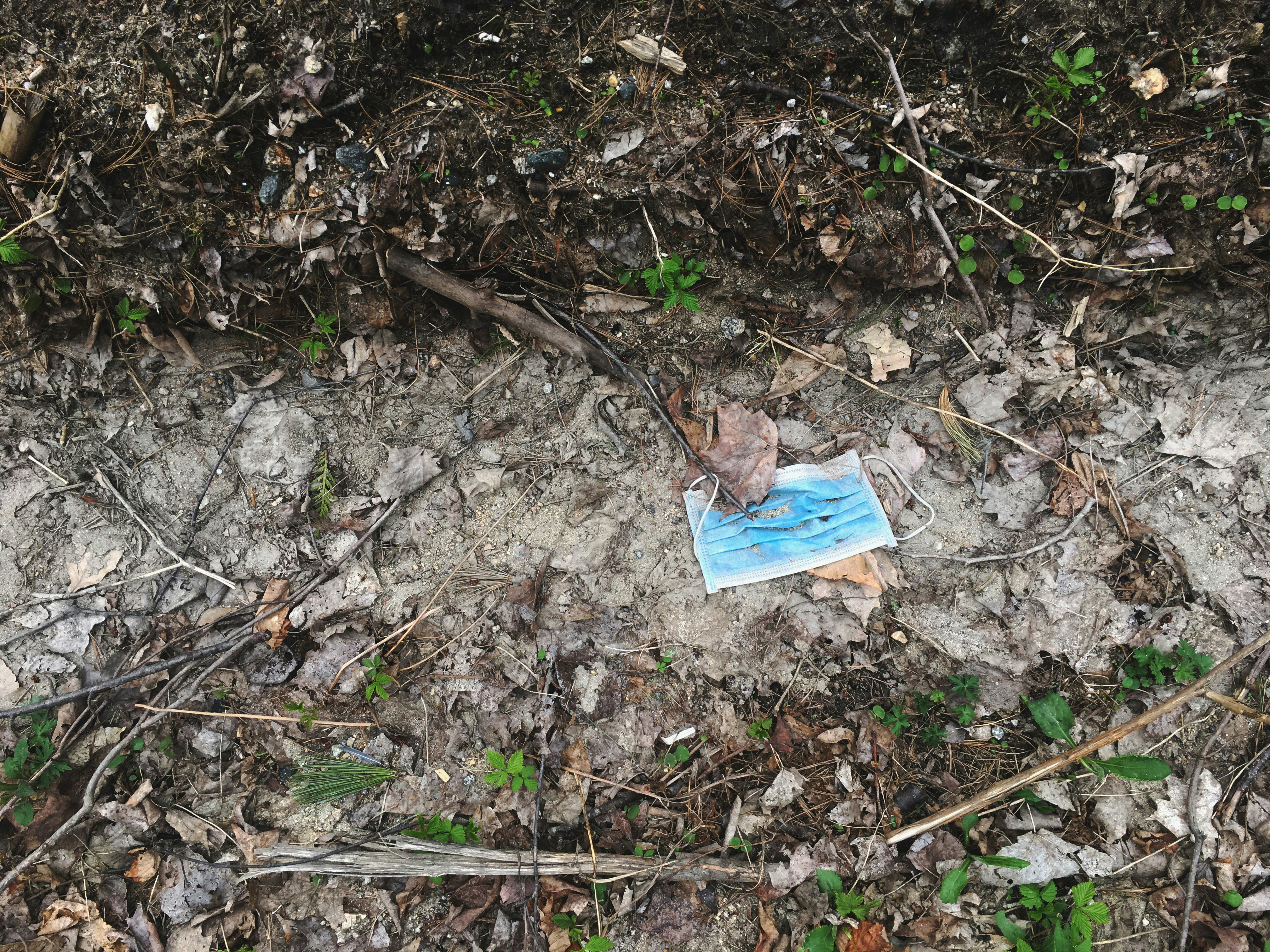 A blue, disposable face mask left in the gutter along the side of the road.