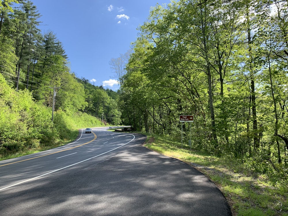 gray asphalt road between green trees during daytime