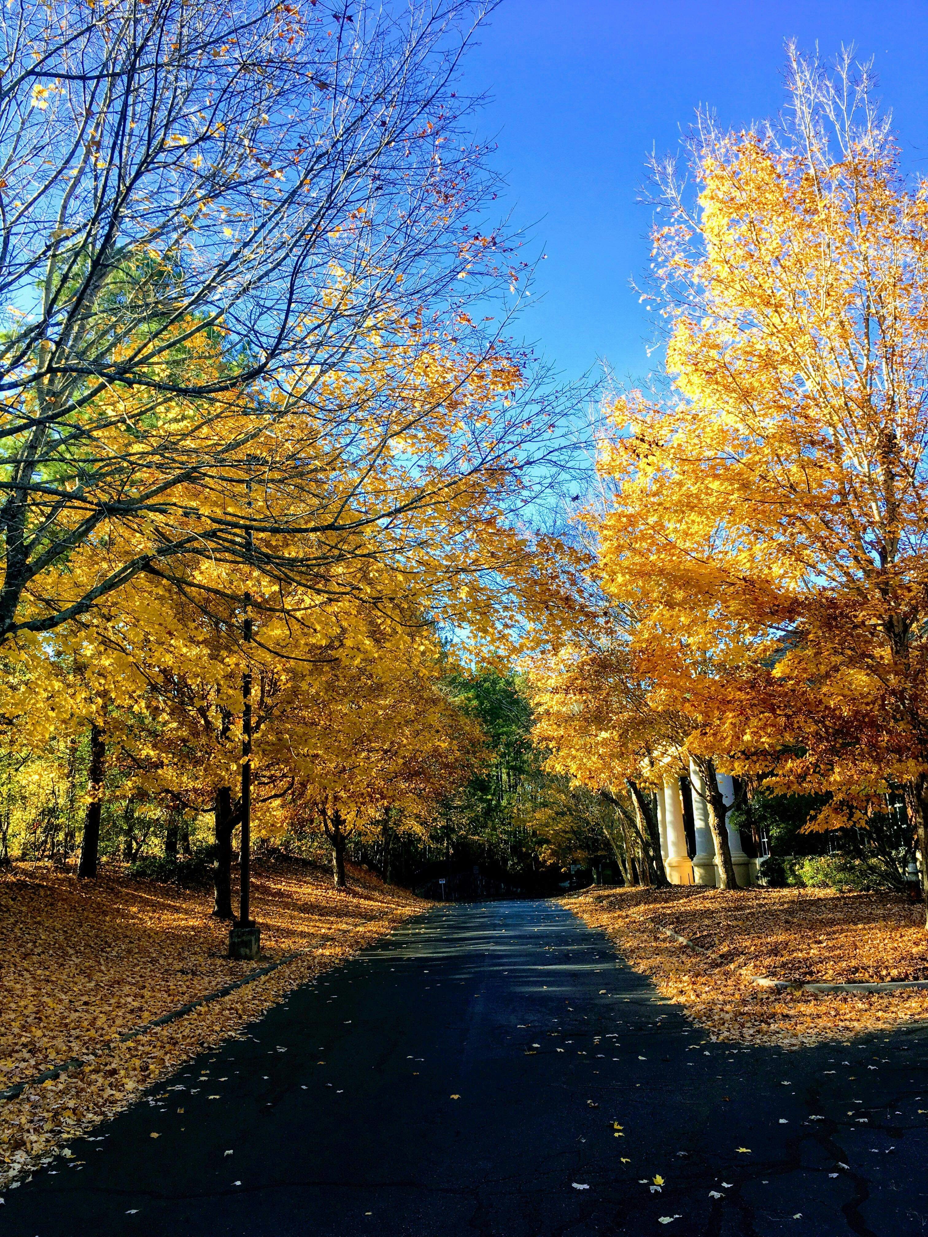 Photo by johnlee71421