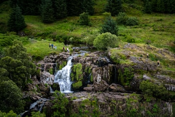 A picturesque waterfall cascades down rocky terrain surrounded by lush greenery and trees. The scene includes several people exploring the grassy area near the waterfall, giving a sense of leisure and enjoyment in nature.